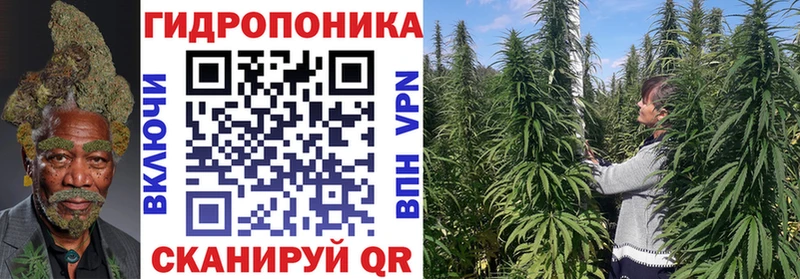 МАРИХУАНА MAZAR  Приморск 